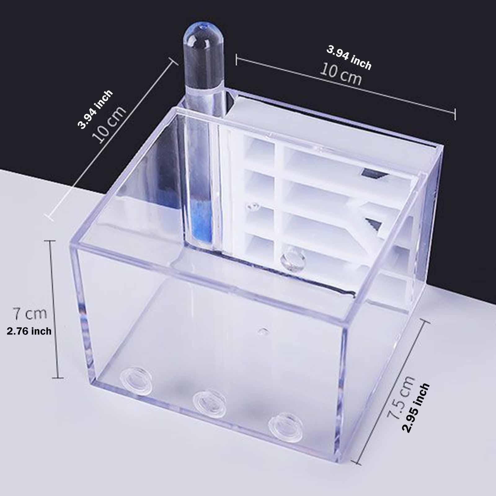 Home Decor Habitat - Formicaio Fai-da-Te per Studio Scientifico Educativo,