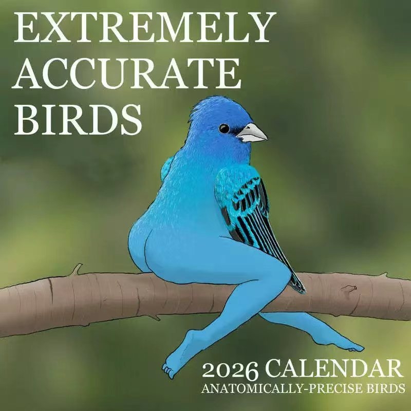 Home Decor Xmas Gifts - CALENDARIO DELLA EXTREMELIA ACCURATO BIRDS2026 ANNO