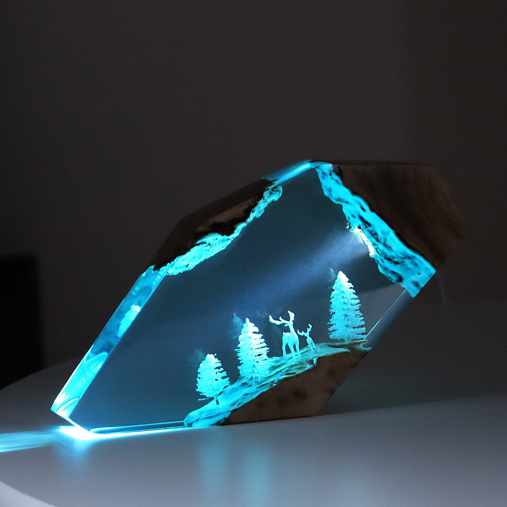 Home Decor Resin - Ornamento Luminoso Personalizzato in Resina e