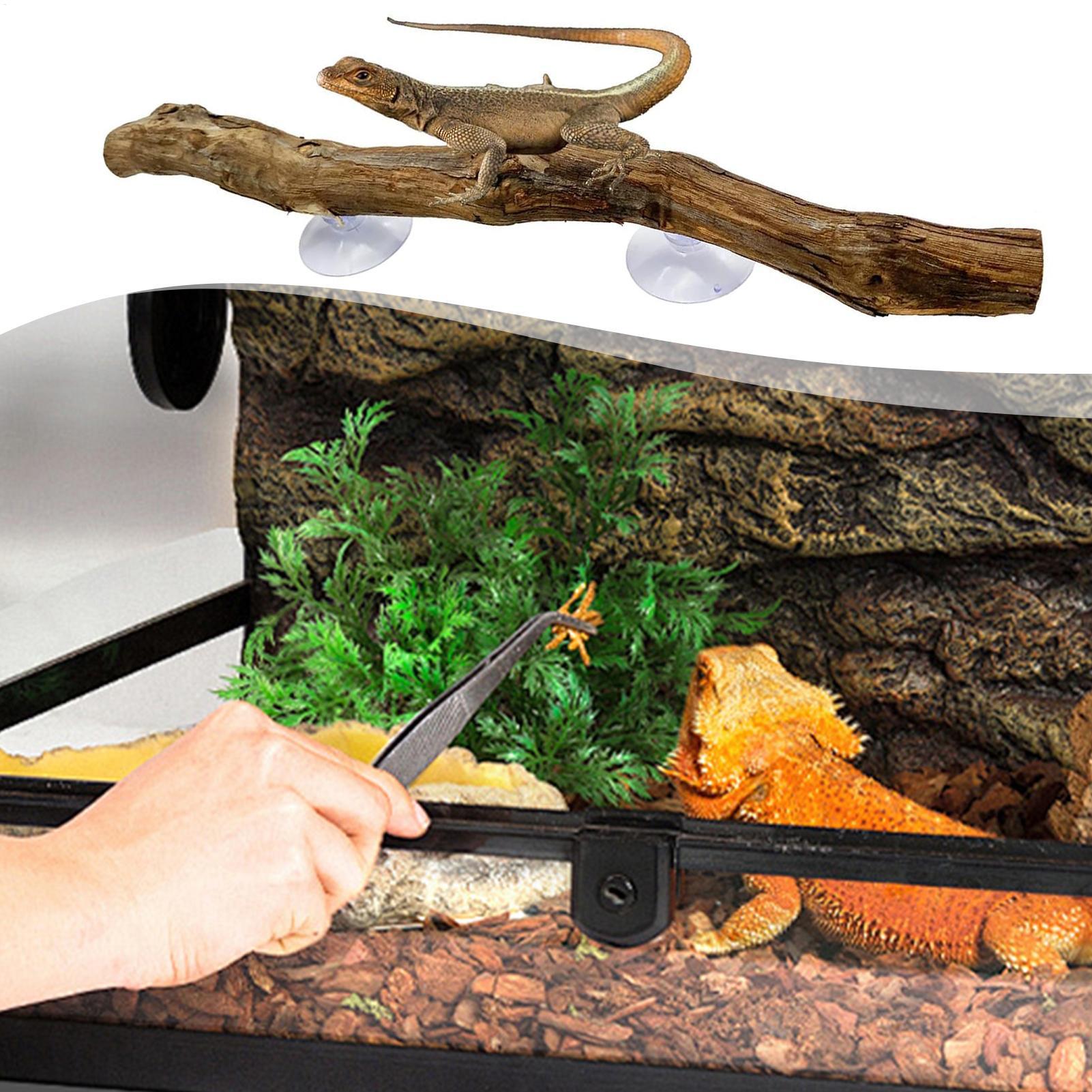 Ramo in legno per rettili, ang - Home Decor Habitat recensione e prezzo