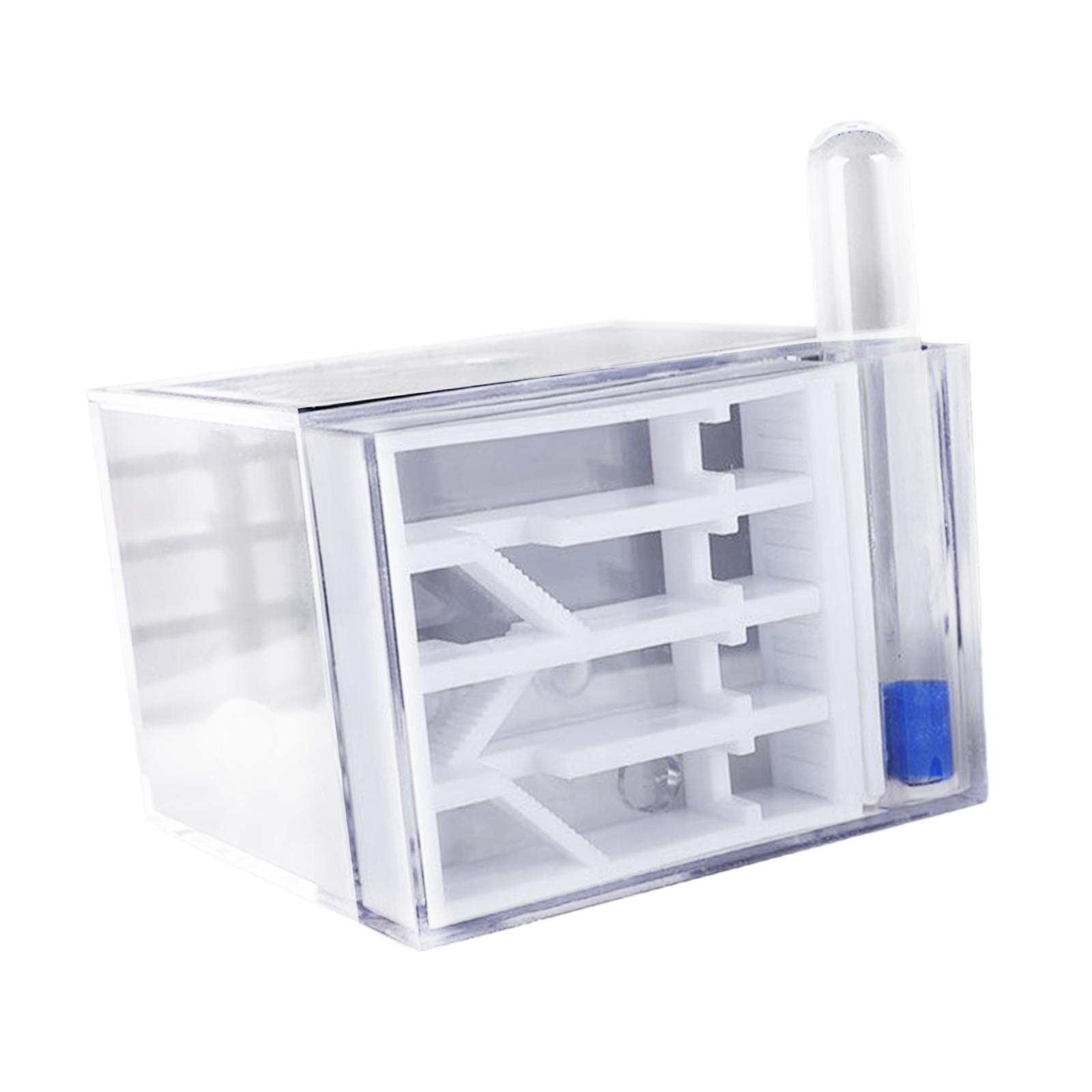 Formicaio Fai-da-Te per Studio - Home Decor Habitat recensione e prezzo