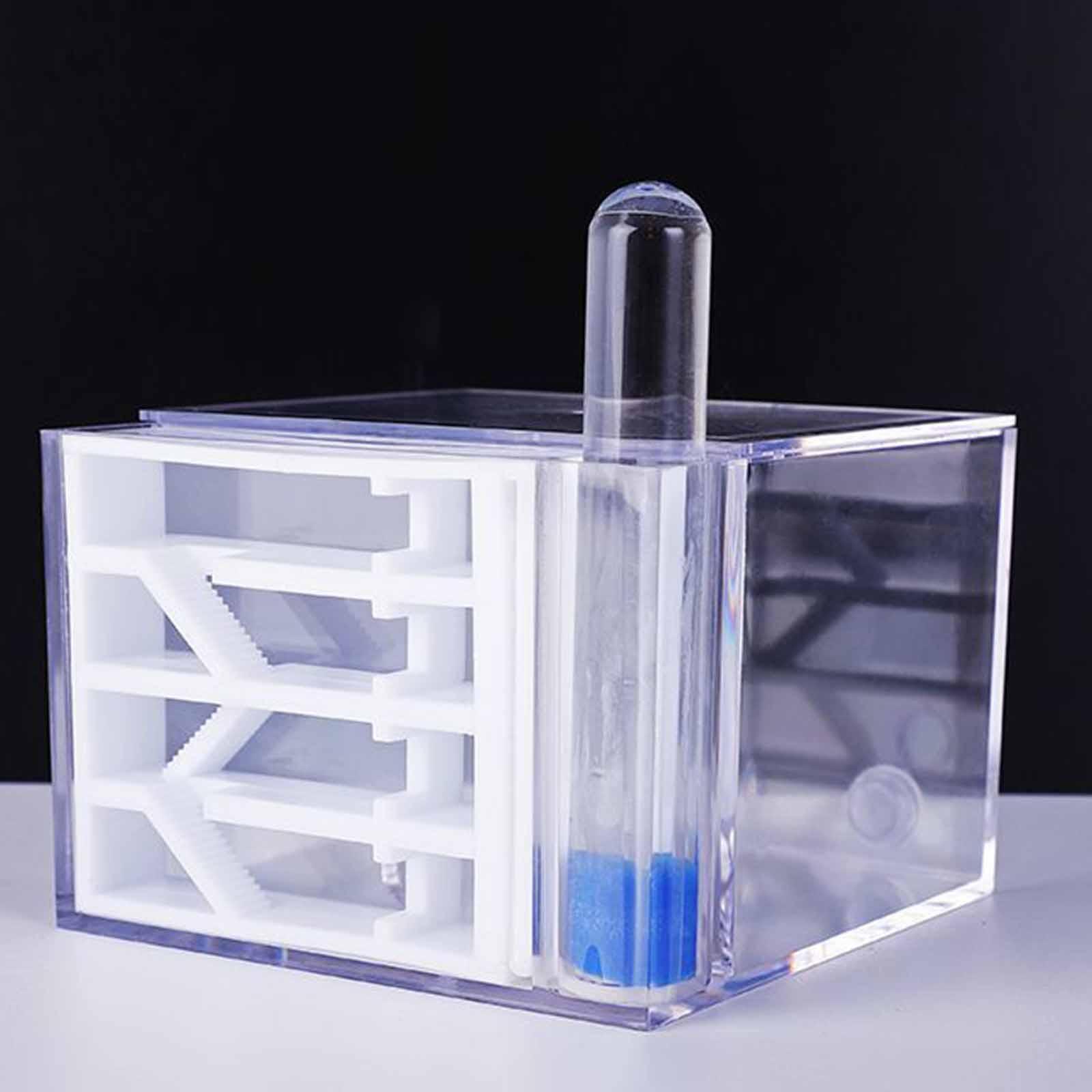 Formicaio Fai-da-Te per Studio - Home Decor Habitat recensione e prezzo