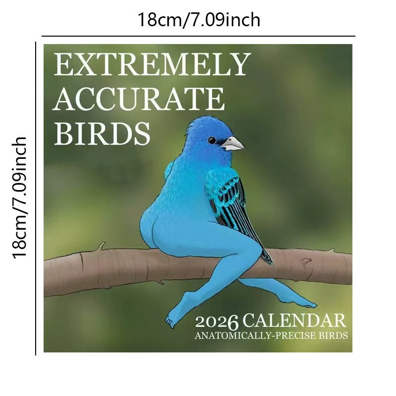 CALENDARIO DELLA EXTREMELIA AC - Home Decor Xmas Gifts recensione e prezzo