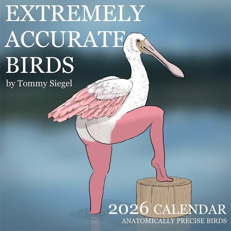 CALENDARIO DELLA EXTREMELIA AC - Home Decor Xmas Gifts recensione e prezzo