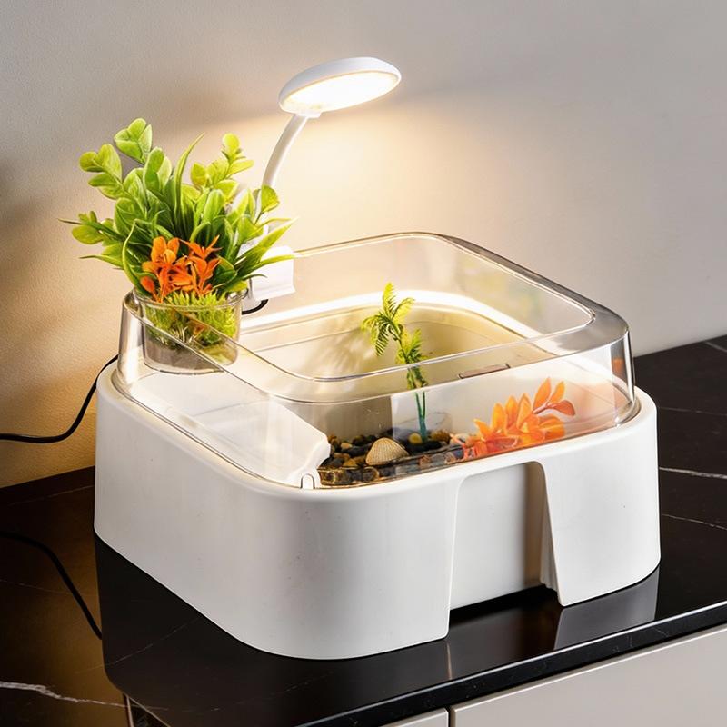 Nuovo Terrario Trasparente per - Home Decor Habitat recensione e prezzo