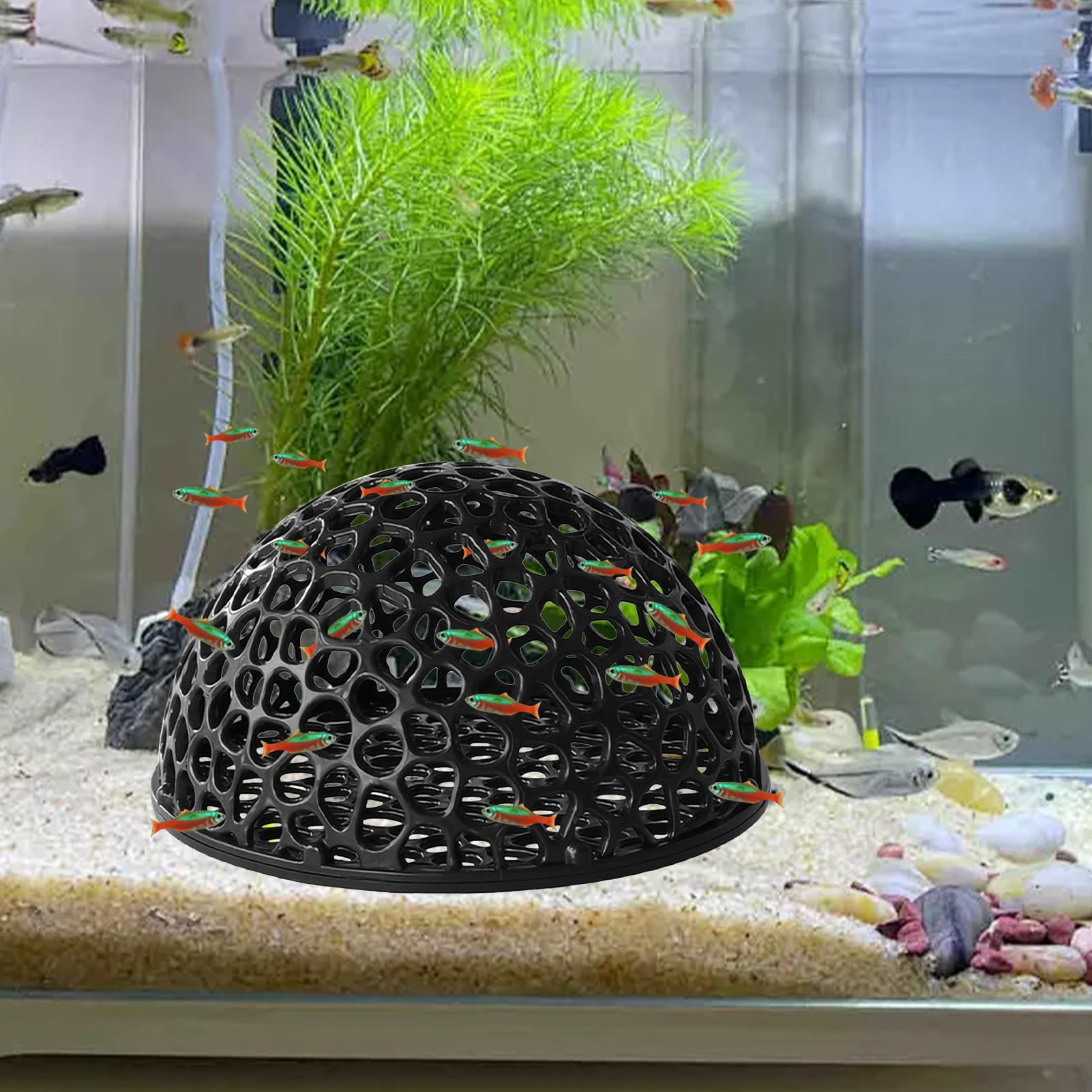Caverna per l'allevamento di g - Home Decor Habitat recensione e prezzo