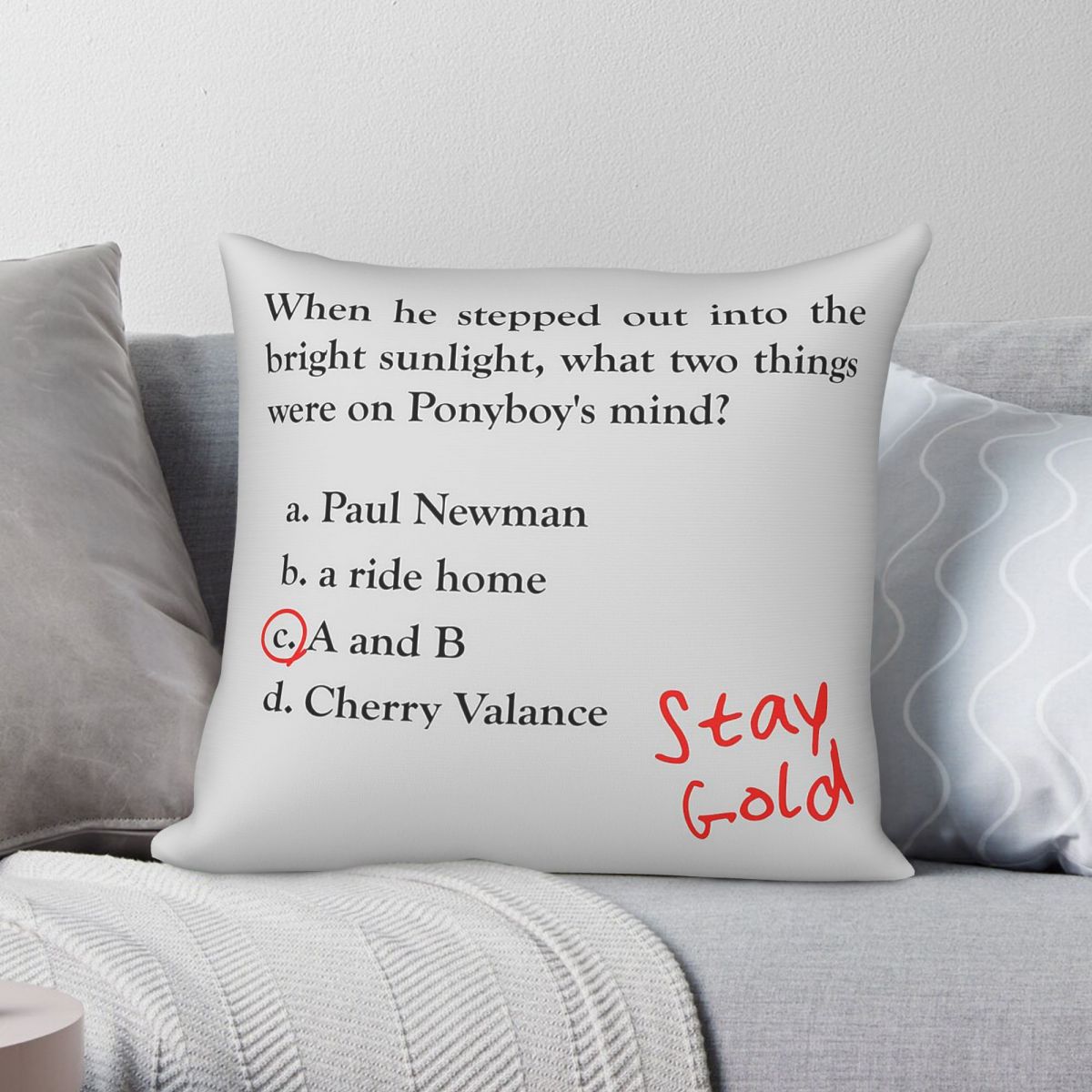 Outsiders Ponyboy Quiz Questio - Home Decor Quiz Free recensione e prezzo