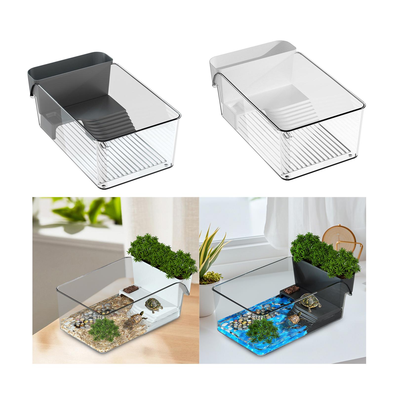 Piccolo serbatoio per tartarug - Home Decor Habitat recensione e prezzo