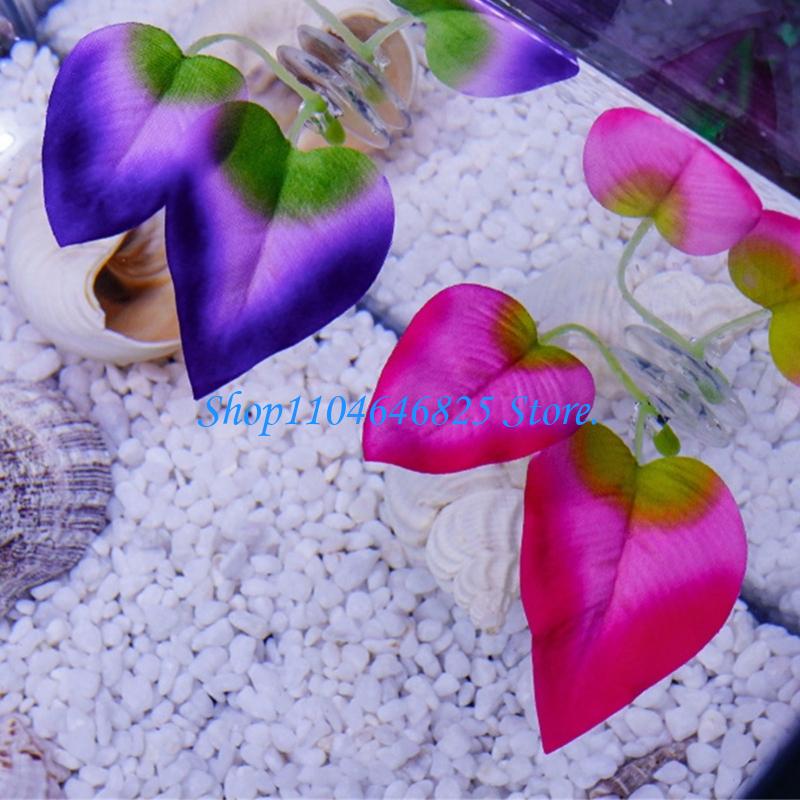 Pianta acquatica colorata arti - Home Decor Habitat recensione e prezzo