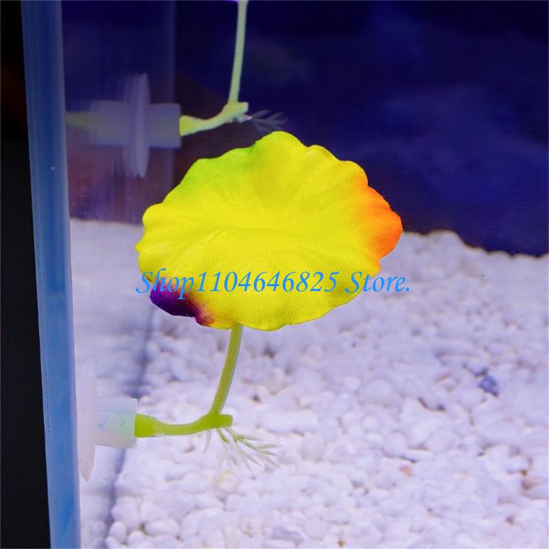 Pianta acquatica colorata arti - Home Decor Habitat recensione e prezzo