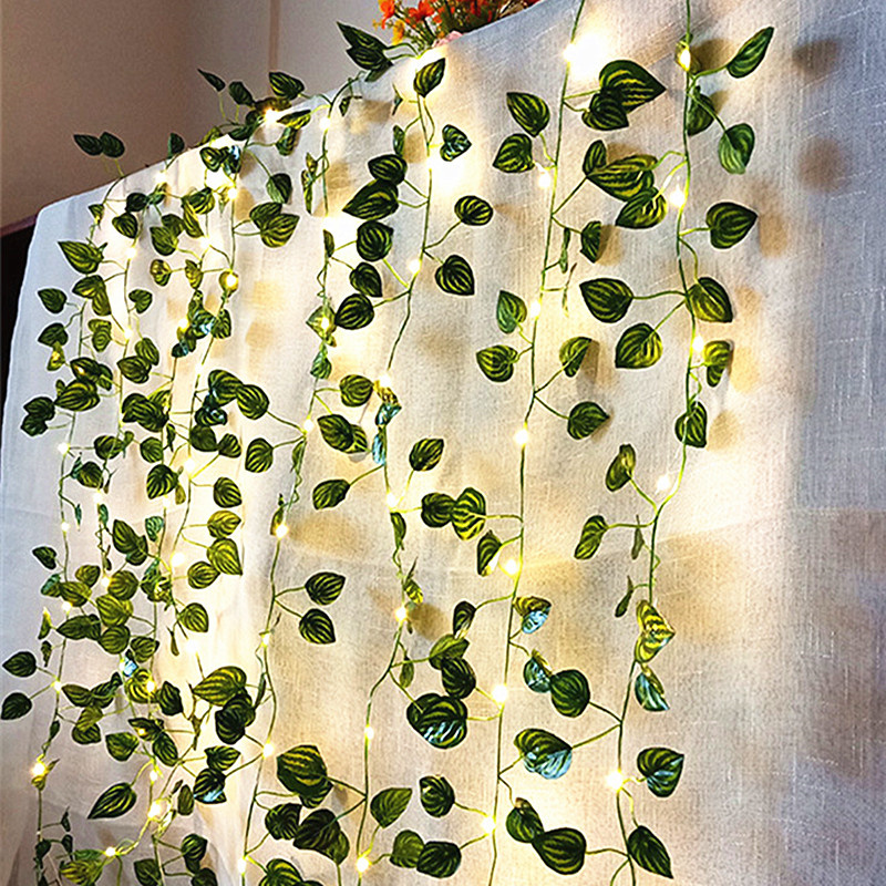 Decorazione Nuziale: Ghirlanda - String Curtain Light recensione e prezzo