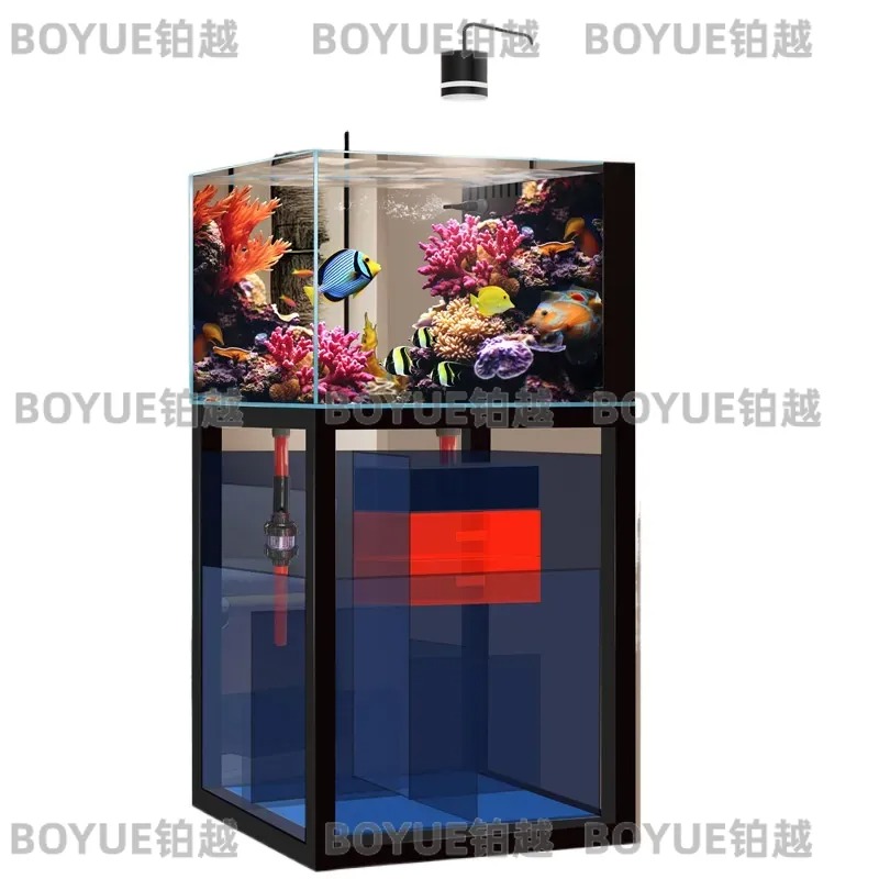 Acquario in Vetro Ultra Traspa - Home Decor Habitat recensione e prezzo
